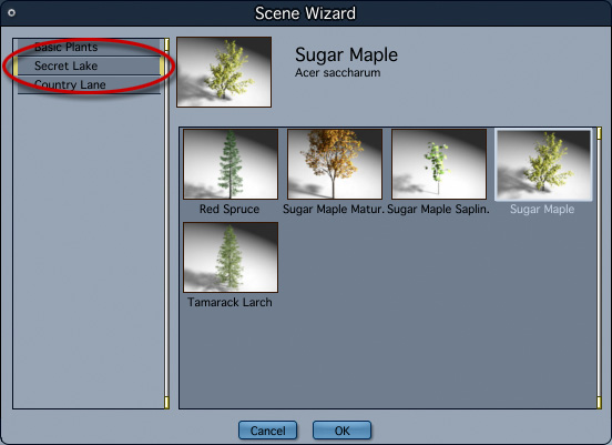 plant_wizard.jpg